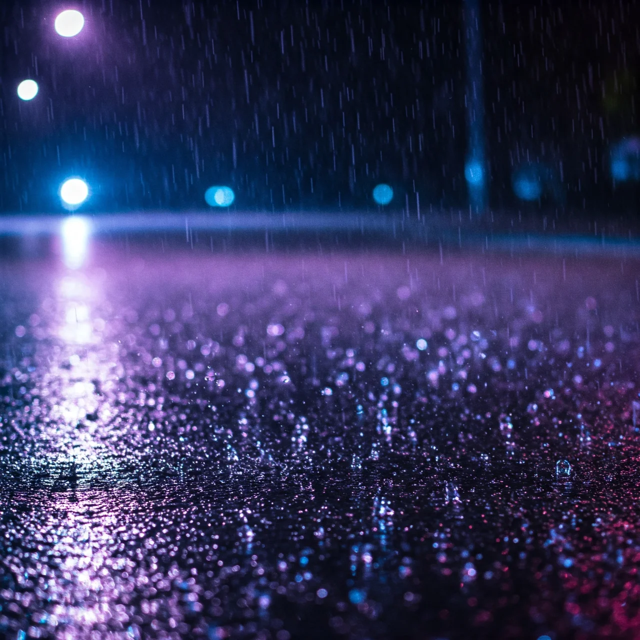 13. The Smell of Rain Is Bacteria