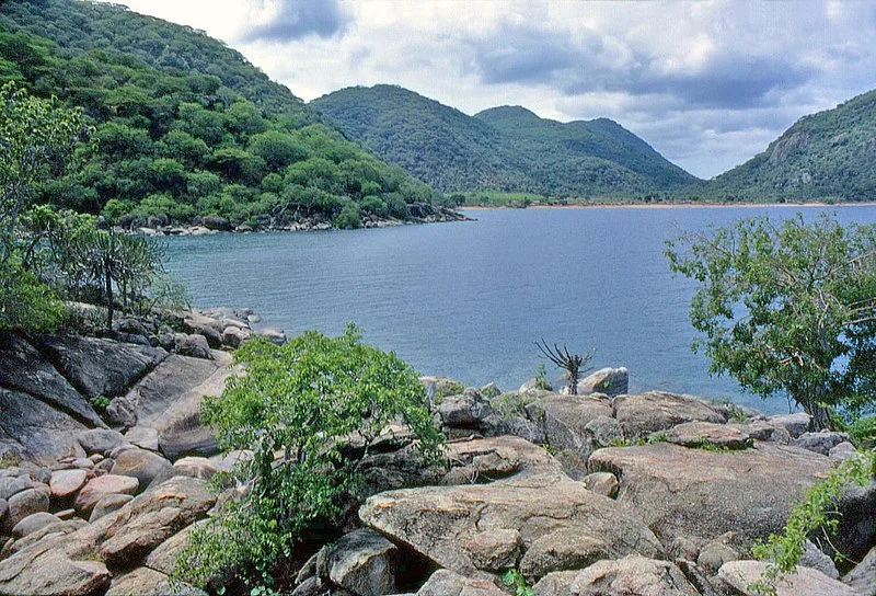 7. Lake Malawi's Fish Paradise: Biodiversity Hotspot