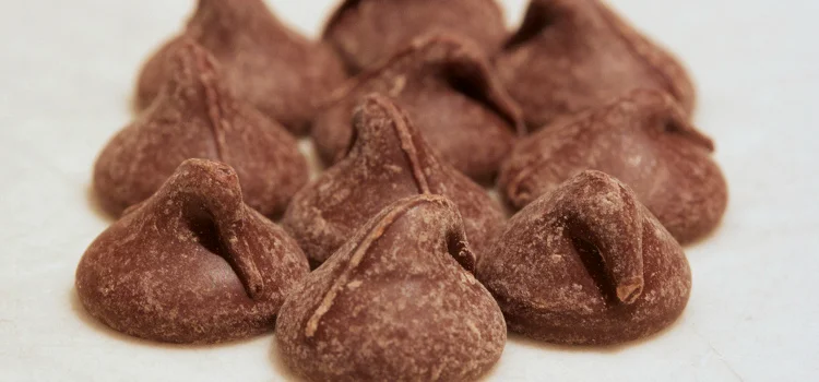 Fact 9: The 'Chocolate Bloom' - Harmless But Not Always Appealing