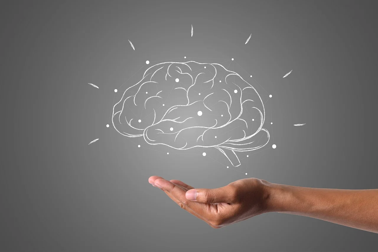 Protein is Important for Brain Function