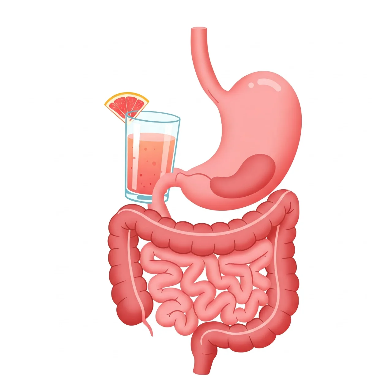Juice Cleanses Can Give Your Digestive System a Break (Temporarily!)
