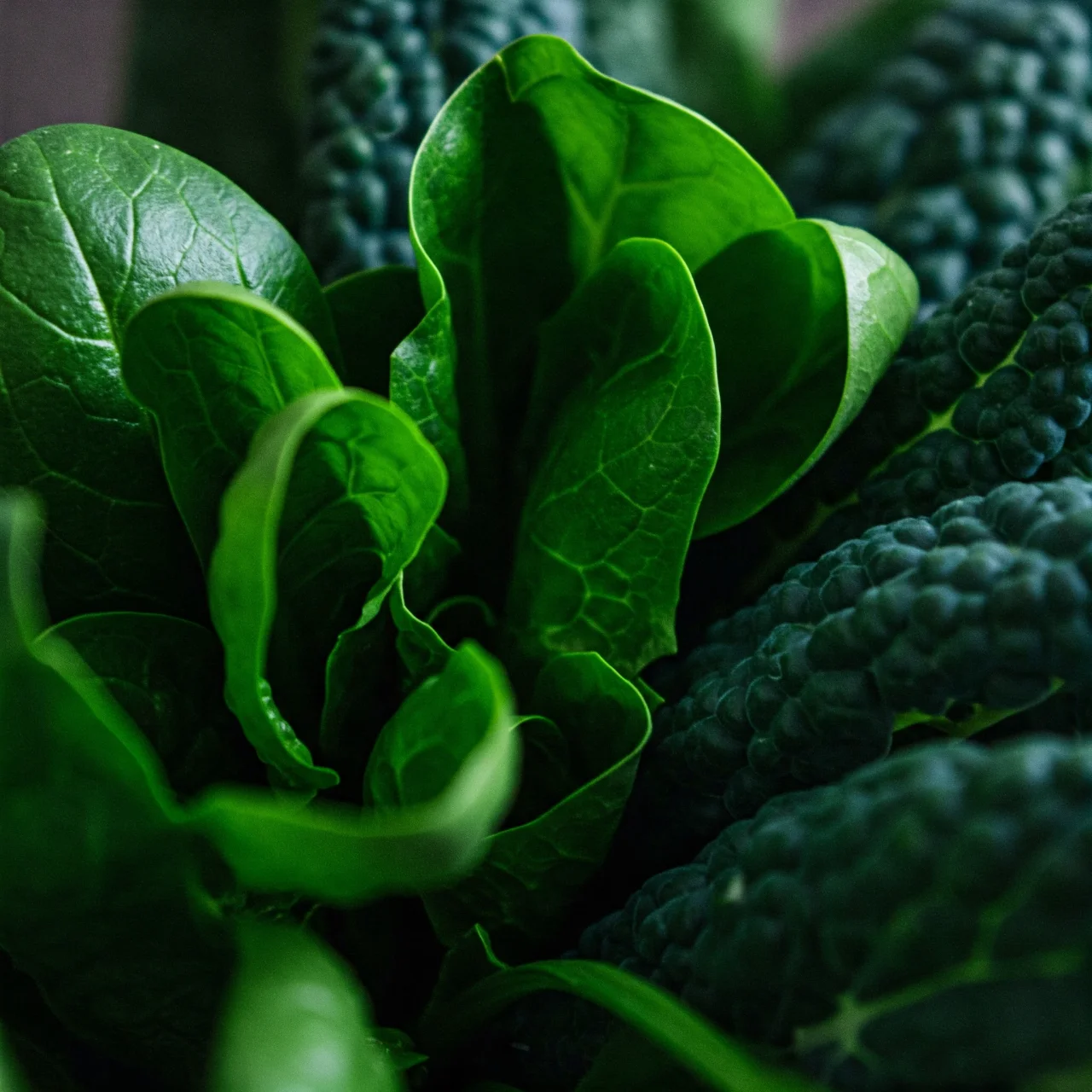Vegetables and Vision Health