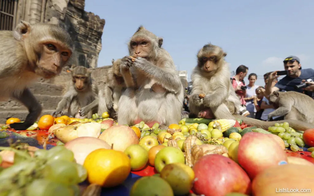 7. Monkey Buffet Festival (Thailand)