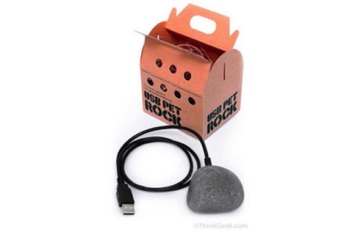 2. USB Pet Rock