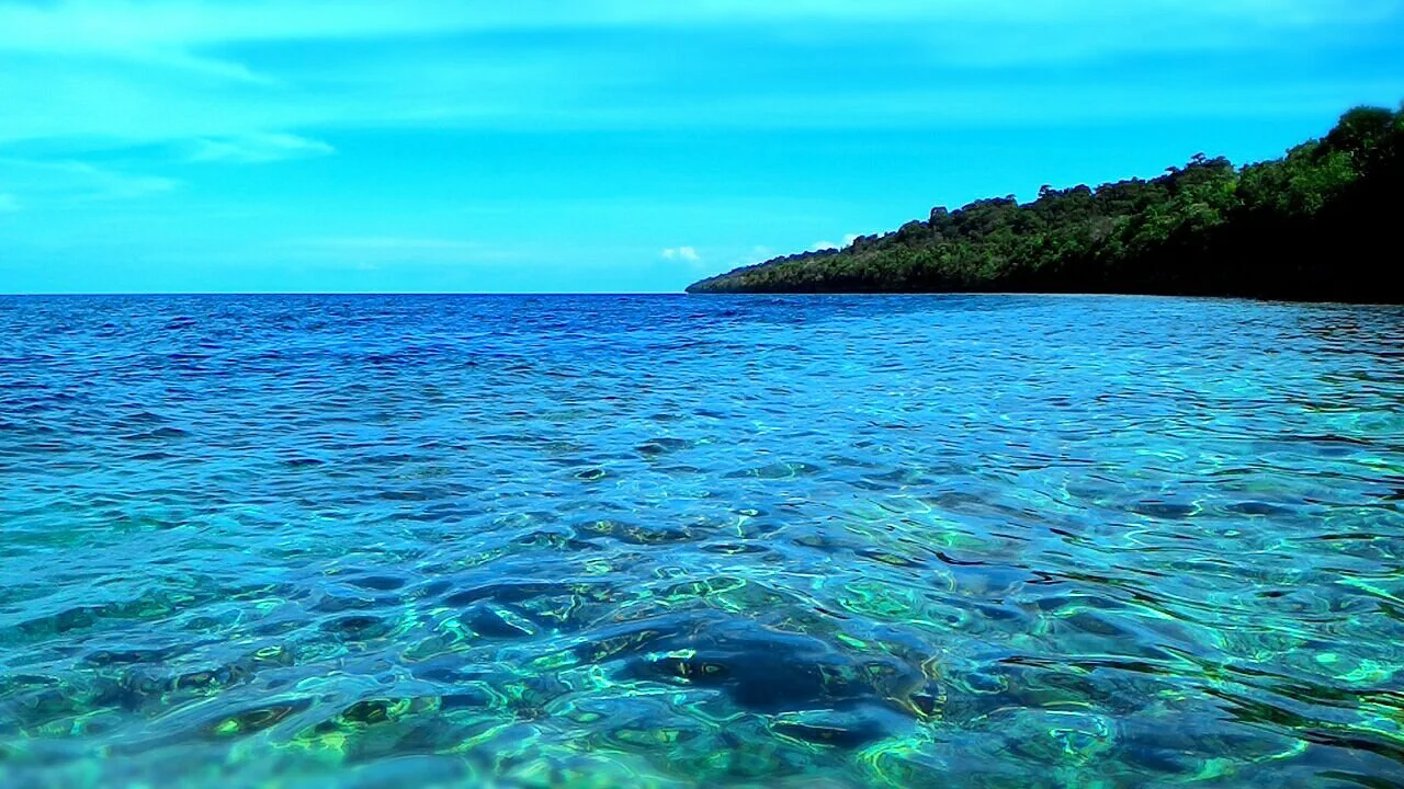 6. Derawan Islands, Indonesia: Underwater Paradise