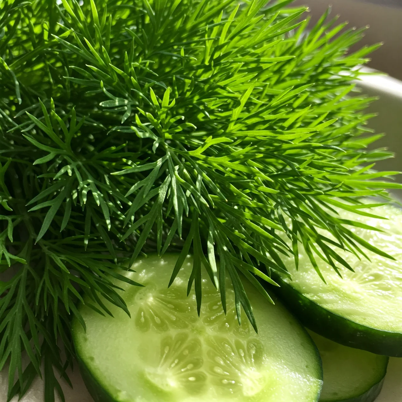 D is for Dill
