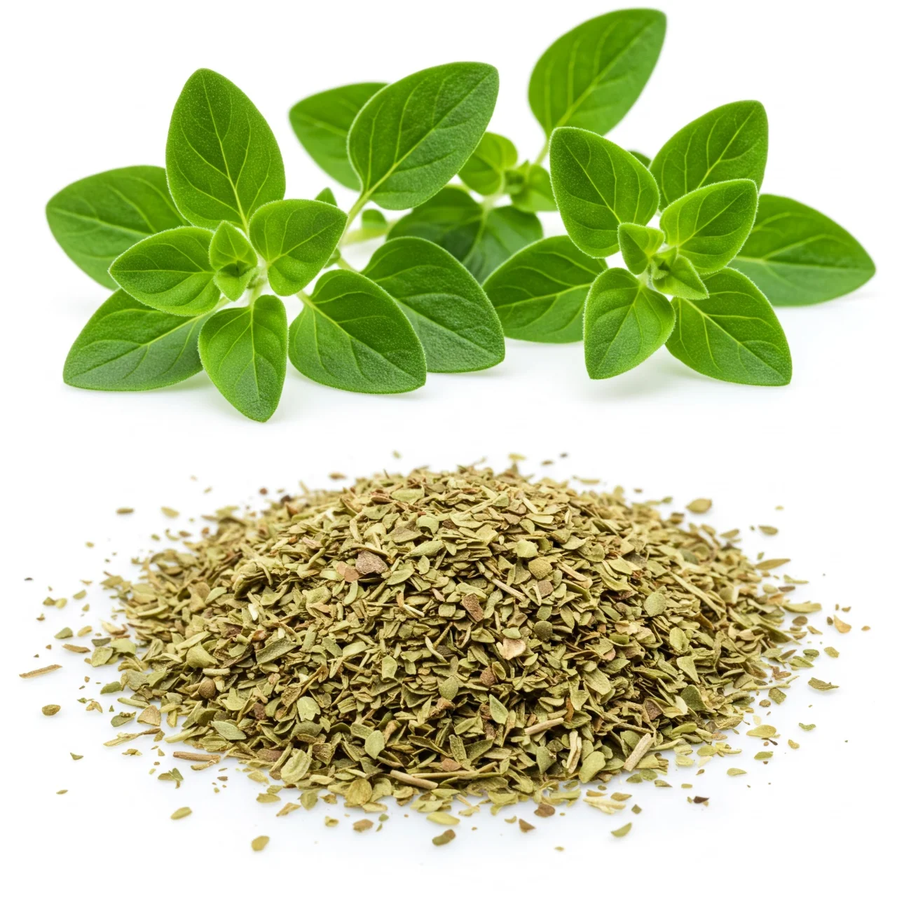 O is for Oregano